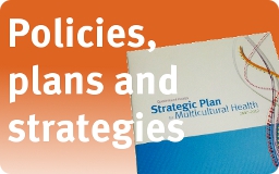 Strategies policies and plans