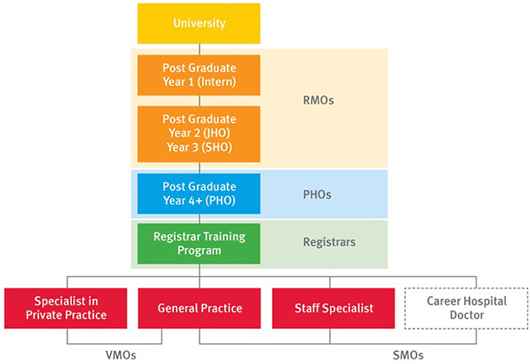 Flow chart for a medical career structure starting at university. Next RMOs with Post graduate year 1 intern and post graduate year 2 jho and post graduate year 3 sho. Next PHOs post graduate year 4 plus PHO. Next Registrars training program. Then onto VMOs Specialist in private practice, general practice and SMOs in General practice, staff specialist and career hospital doctor.