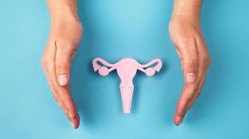 Two hands over a teal background cup either side of a pink cardboard representation of ovaries, fallopian tubes, uterus, cervix and vagina