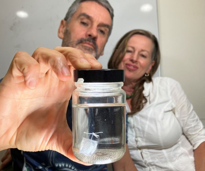 Clinicians hold a jar containing an irukandji jellyfish