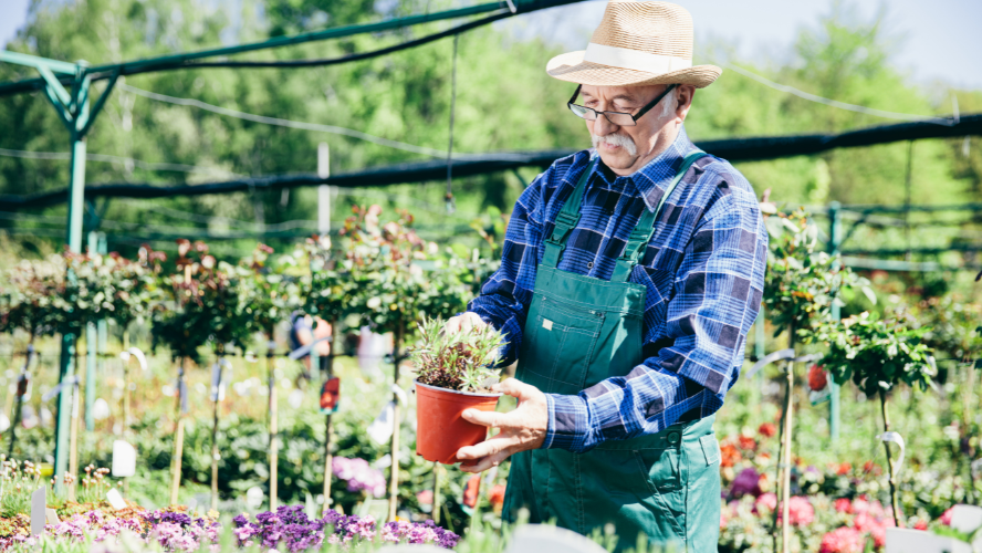 A man stands in his garden holding two pot plants.