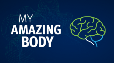 My Amazing Body Brain Graphic