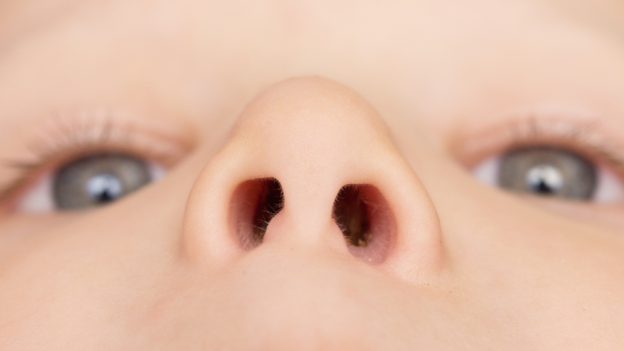 A very close up shot looking up a child's nose