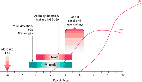 Figure: Typical primary dengue infection with timing of diagnostic tests
