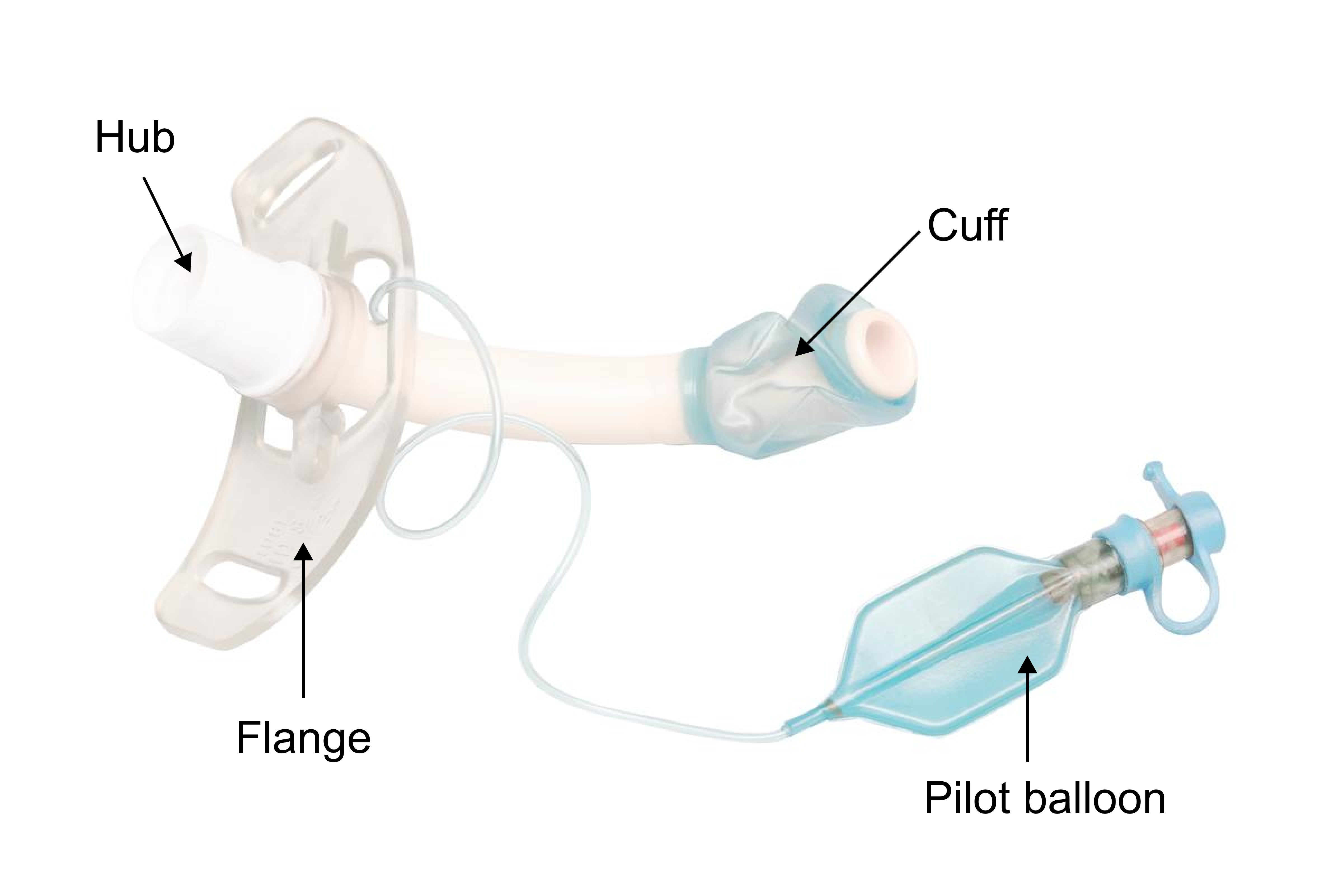 Tracheostomy attachments - inner canula inserted