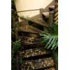 thumbnail image of a stairway with leaf litter