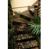 thumbnail image of a stairway with leaf litter
