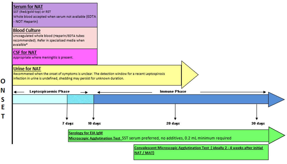 Diagram of Specimen collection for leptospirosis cases