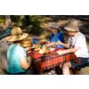 thumbnail image of older women sharing a picnic lunch