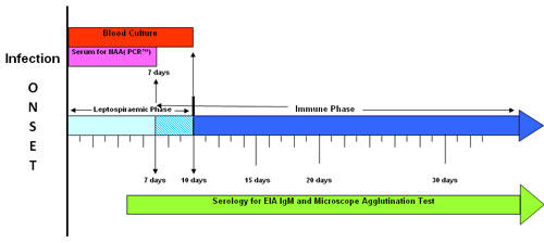 Infection onset graph