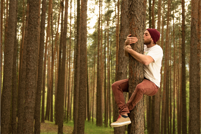 A bearded young man in a maroon beanie has jumped up a tree and is hugging it and kissing it