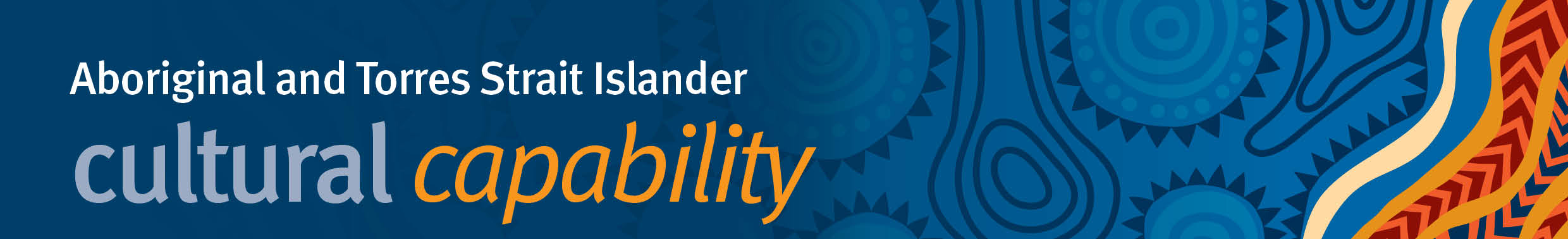 Cultural Capability | Queensland Health