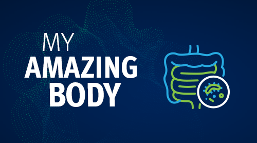 A graphic image of the intestines and the words My Amazing Body