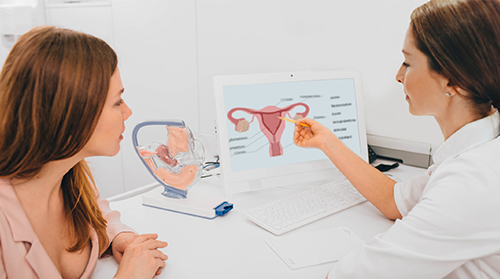 A gynaecologist consults with her patient about cervical screening test