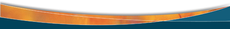 Subcutaneous Infusions in Palliative Care Footer