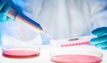 Research projects and research funding opportunities