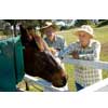 thumbnail image of older couple and a horse