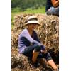 Image of a lady sitting on a haystack