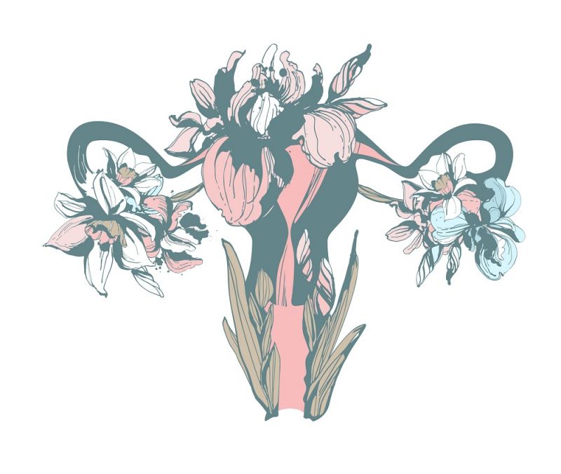 A drawing of the female reproductive system made out of flowers.