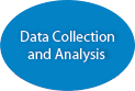 Data Collection and Analysis icon