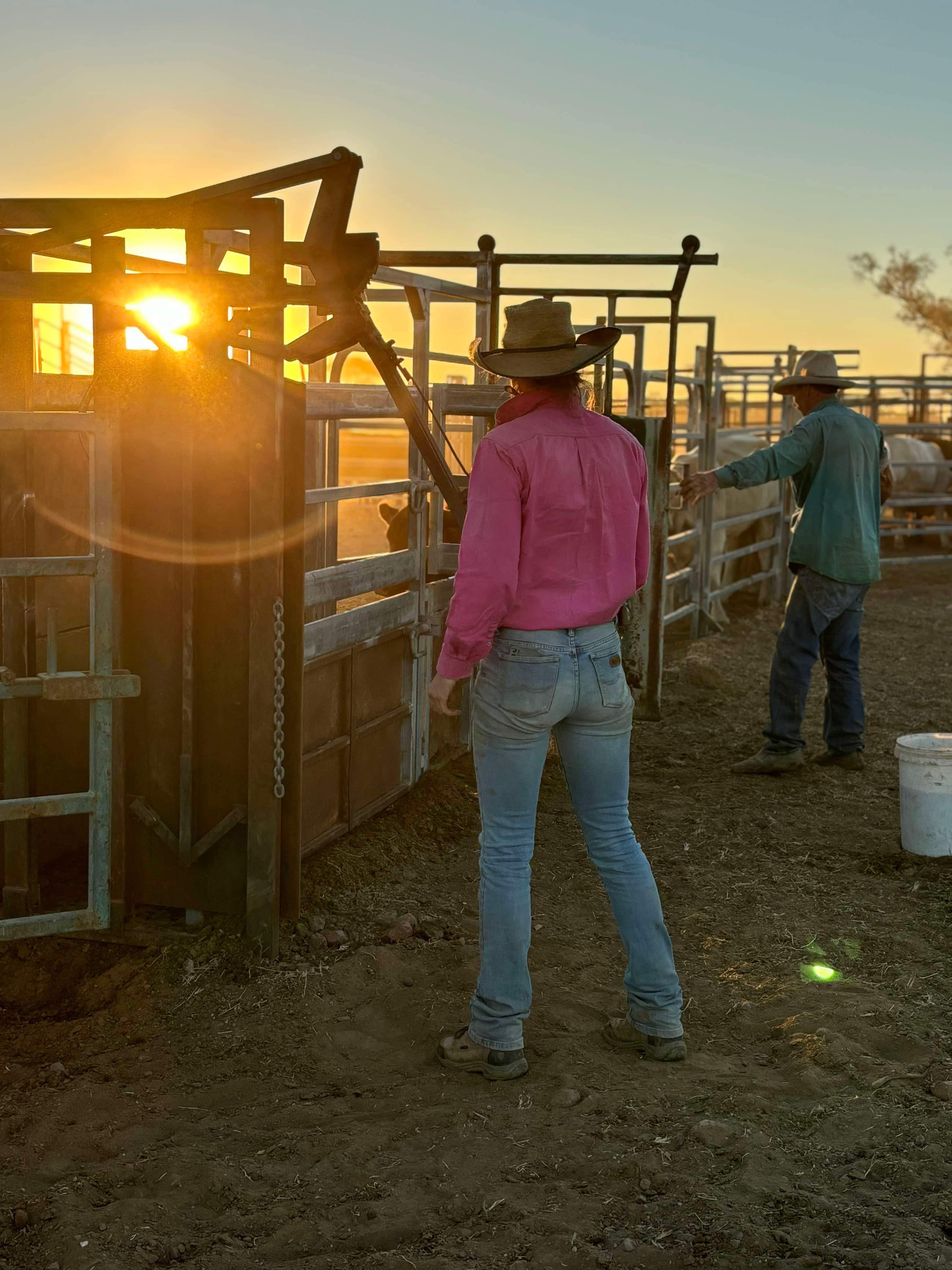 Dr Dales is dressed in a wide brim hat, pink work shirt and jeans while standing with her back to the camera in cattle yards.
