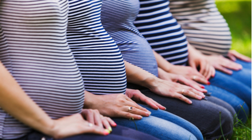 A row of pregnant women with different body shapes and belly sizes kneel on the grass.