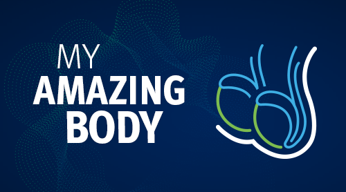 A graphic image of testicles and the text 'My Amazing Body'