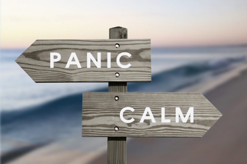 A wooden sign on a beach consisting of two wooden arrows, one above another other on a wooden stake, with the top arrow pointing left, saying 'panic', and the bottom one pointing right saying 'calm