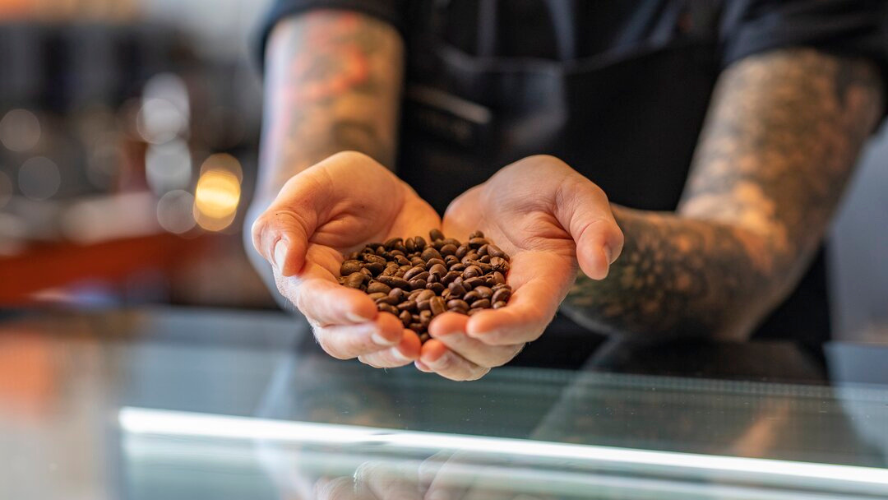 A barista shows coffee beans piled in his cupped hands