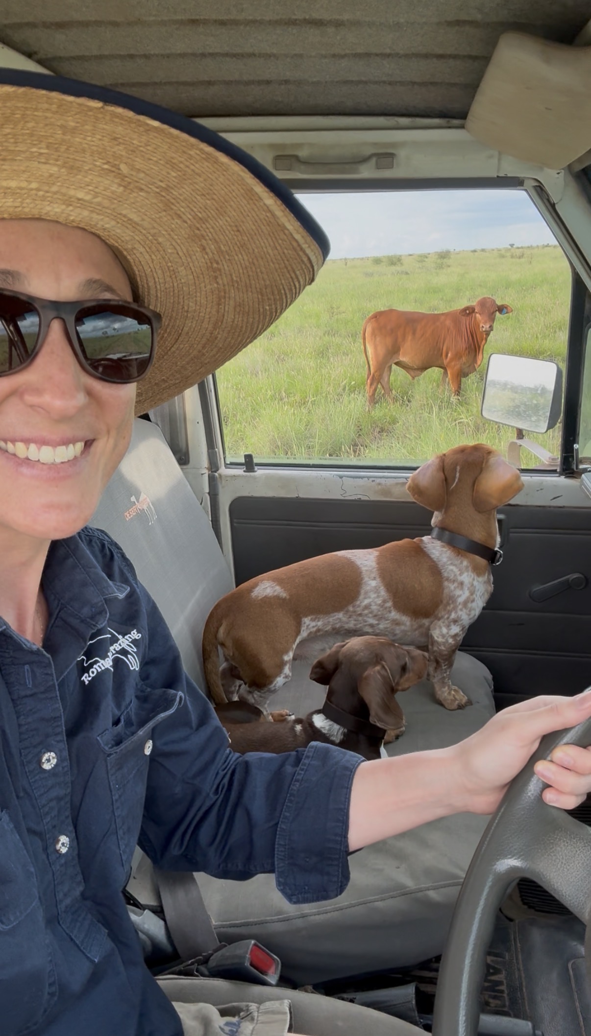 Dr Dales smiles at the camera from the driver's seat with two sausages dogs in the passenger seat. There is a cow in the background which can be seen through the passenger side window..