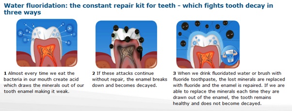 The Benefits Of Fluoride In Water