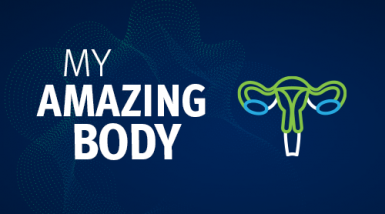 A graphic reading My Amazing Body with a picture of the female reproductive system