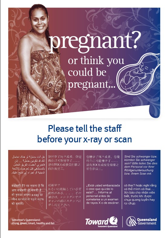 Pregnancy Safety Poster 
