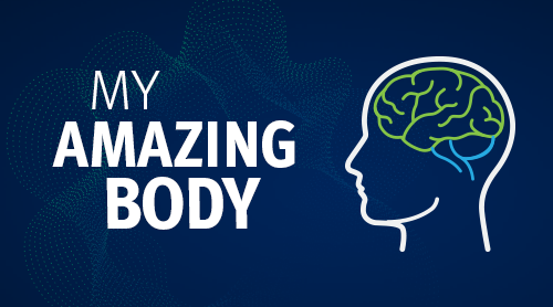 The My Amazing Body logo with an image of a brain