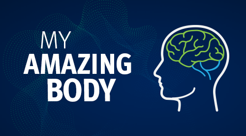 Find out what we know, and what don't we know, about the brain.